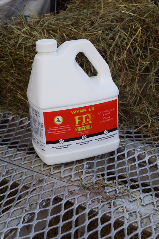 WYNN-ER SUPPORT | Equine Revolution
