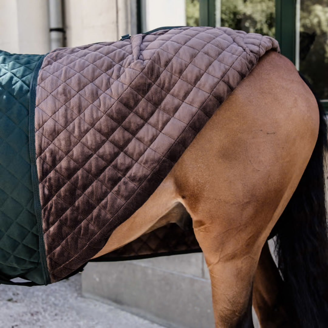 Show Blanket | Kentucky Horsewear