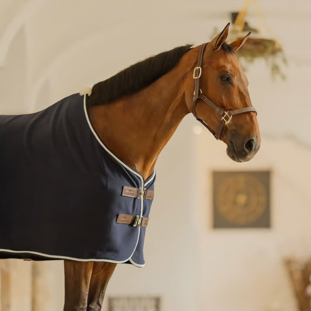 https://equitavisports.ca › products › couverture-polaire-show-vegan-wool-kentucky-horsewear