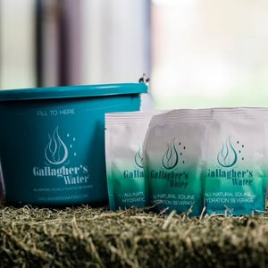 Electrolytes 12 sachets | Gallagher's Water