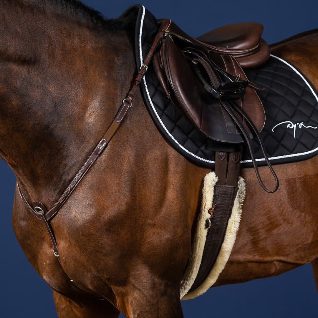 https://equitavisports.ca › products › collier-de-chasse-dy-on-us-collection