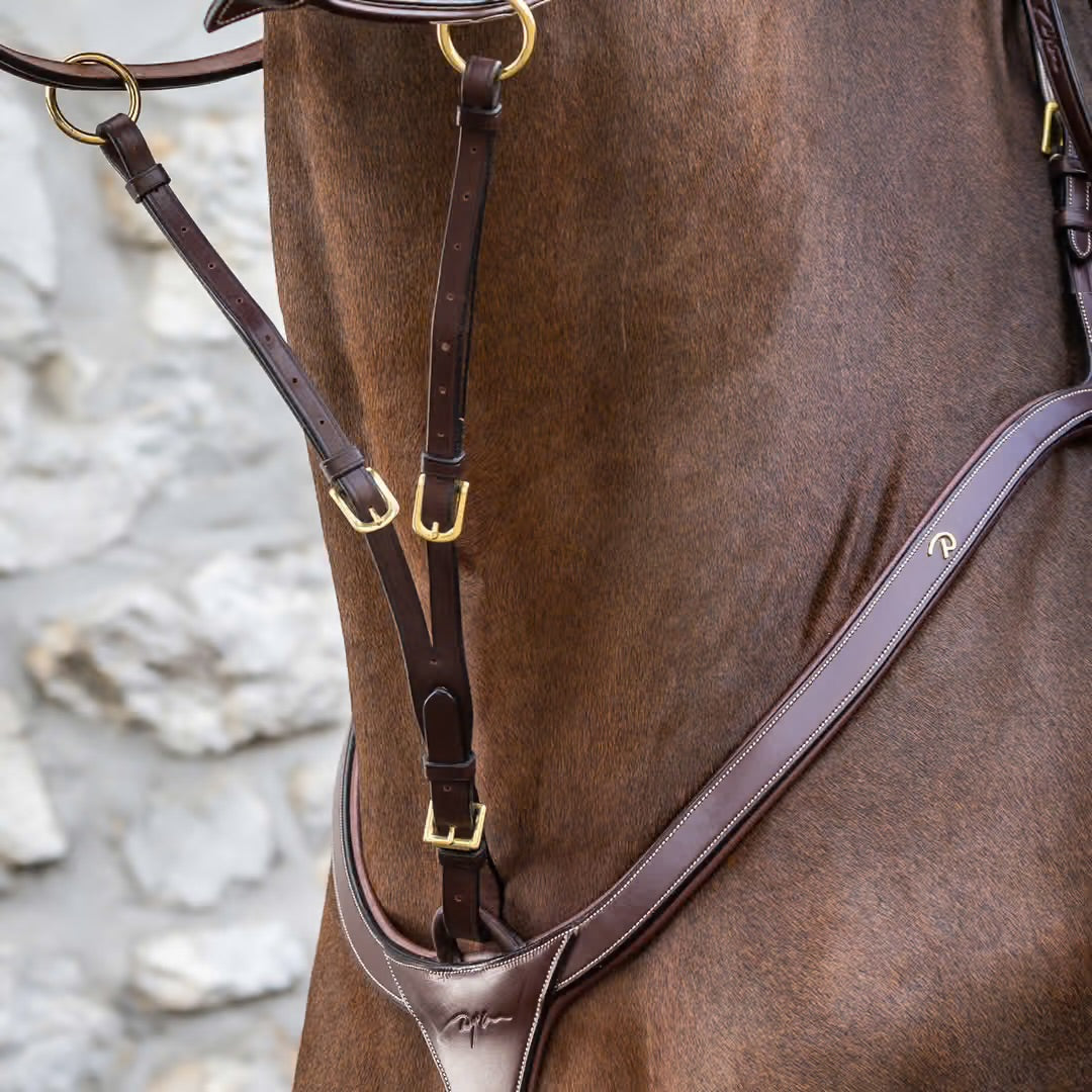 https://equitavisports.ca › products › fourchette-de-martingale-a-anneaux-dyon-collection