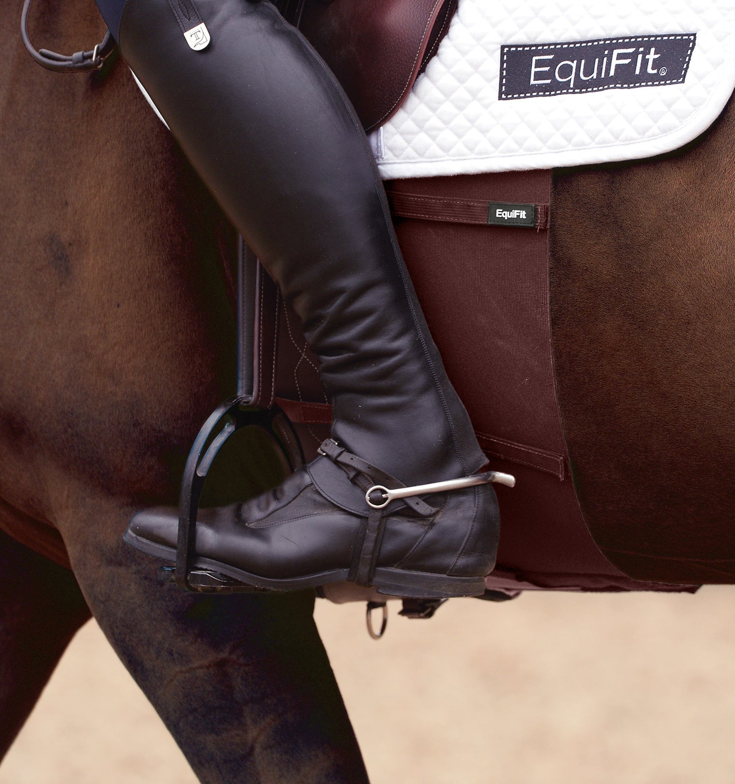 EQUIFIT BellyBand