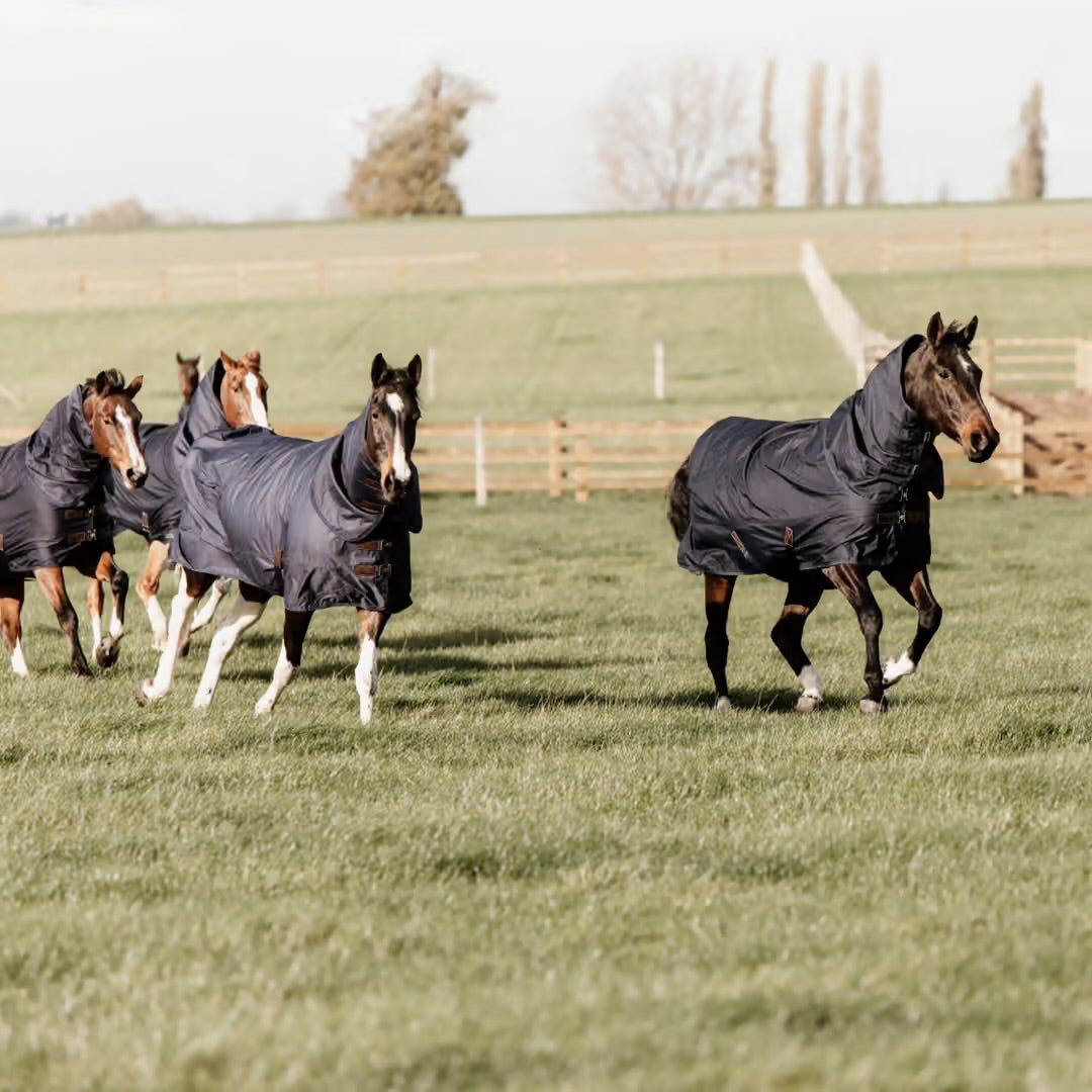 https://equitavisports.ca › products › couverture-dexterieur-all-weather-quick-dry-fleece-kentucky-horsewear