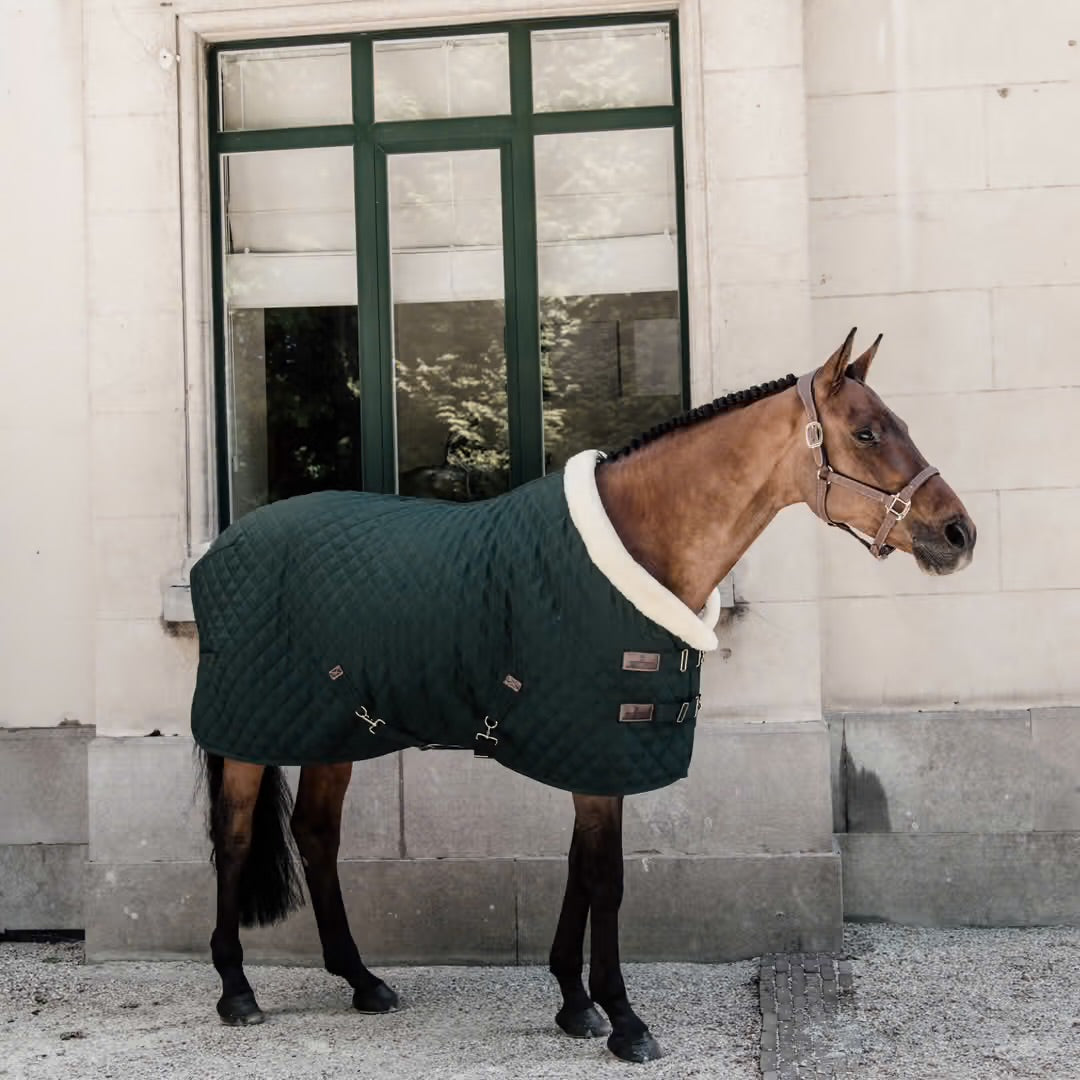Show Blanket | Kentucky Horsewear