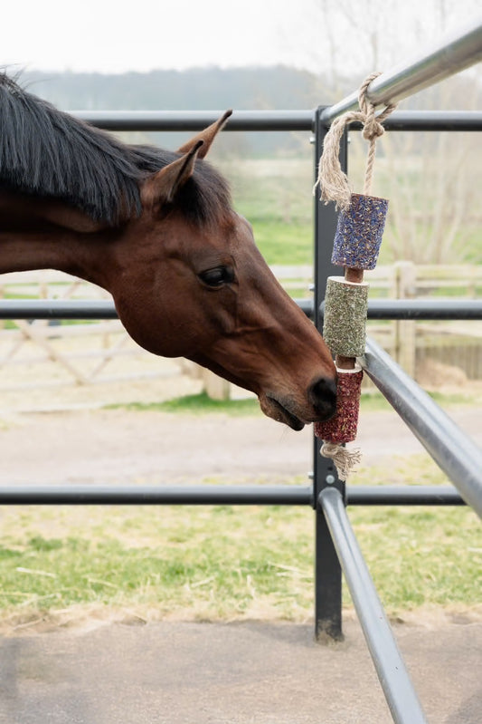 Relaxing Wooden Horse Toy | Kentucky Horsewear