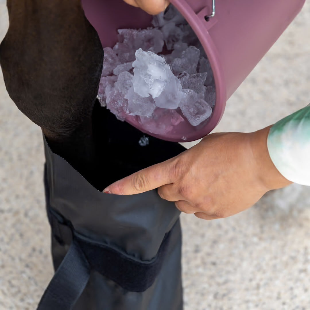 https://equitavisports.ca › products › bottes-de-soin-refroidissement-kentucky-horseware