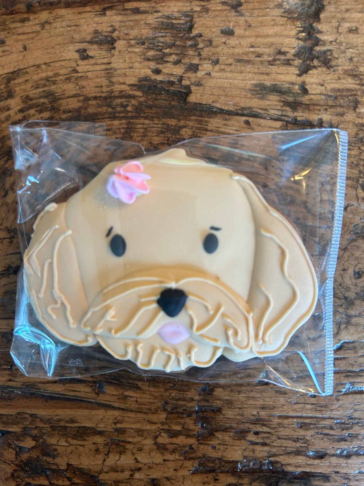 Biscuits pour chevaux | EquiGâterie