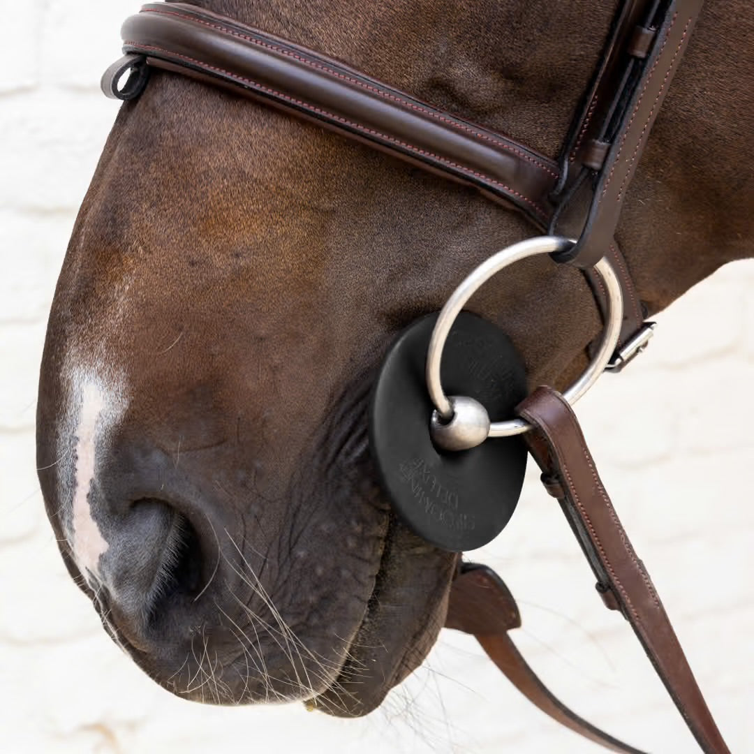 https://equitavisports.ca › products › anneaux-de-mors-en-silicone-kentucky-horsewear