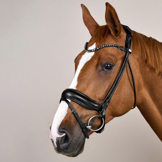 https://equitavisports.ca › products › bride-muserolle-combinee-large