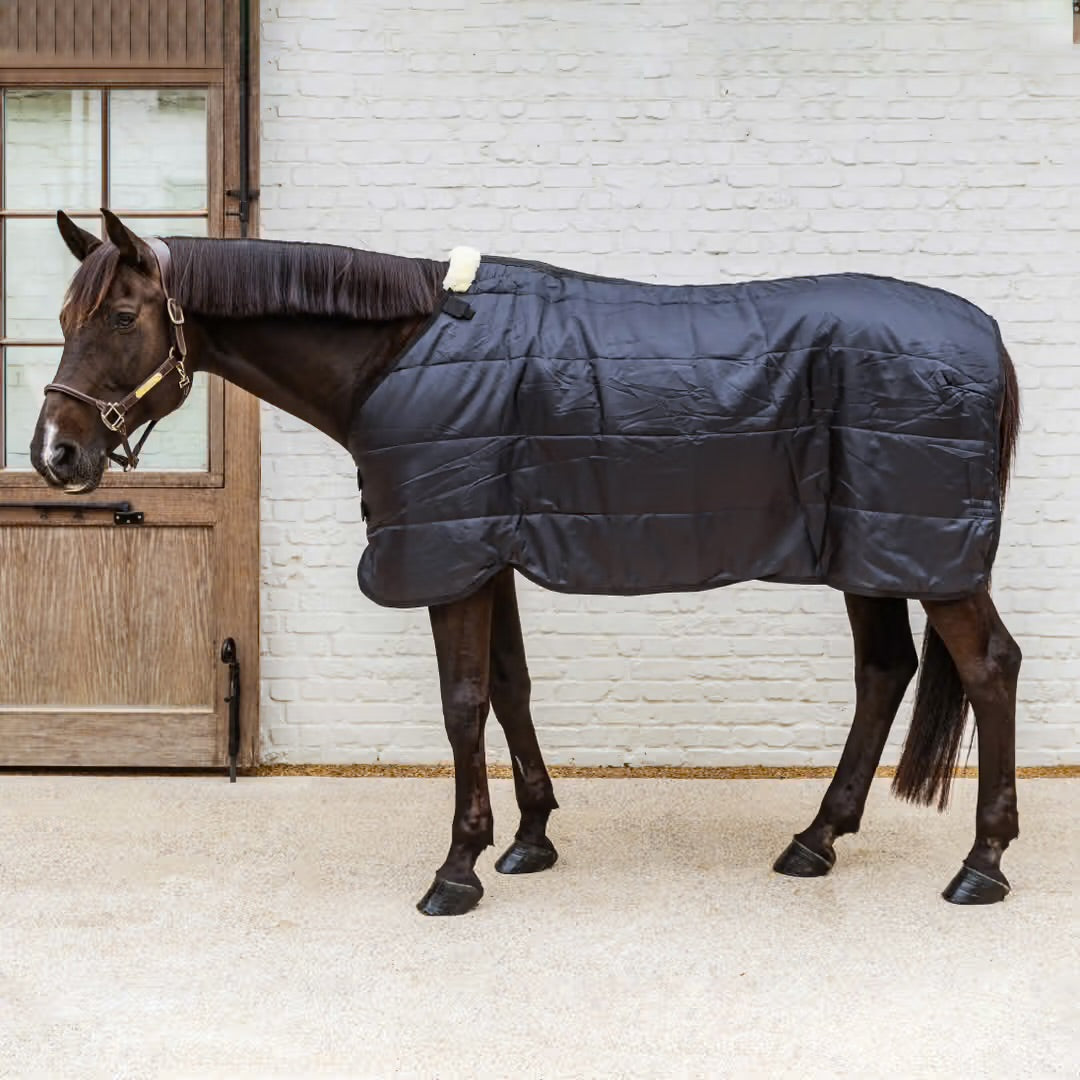 https://equitavisports.ca › products › copie-couverture-d-ecurie-classic-300-grammes-kentucky-horsewear