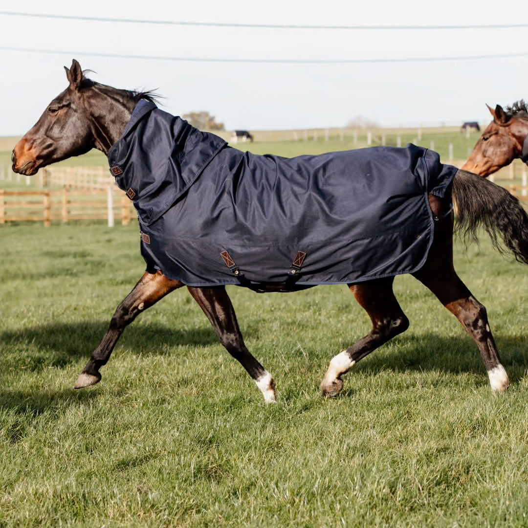 https://equitavisports.ca › products › couverture-dexterieur-all-weather-quick-dry-fleece-kentucky-horsewear