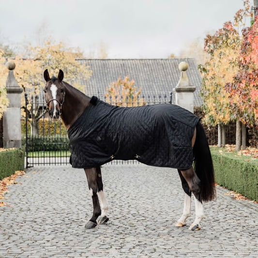 https://equitavisports.ca › products › couverture-decurie-kentucky-horsewear