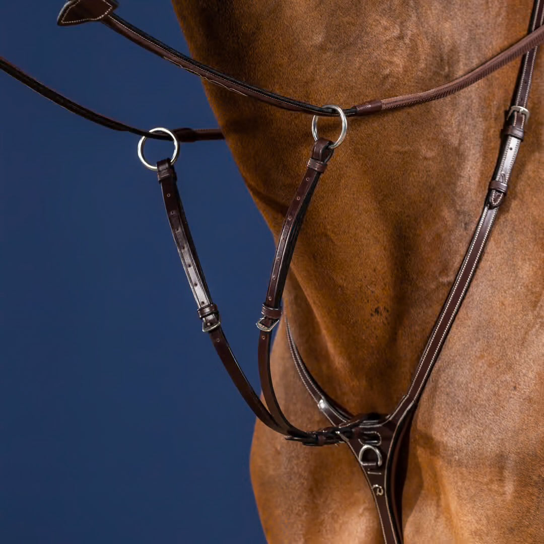 https://equitavisports.ca › products › fourchette-de-martingale-a-anneaux-dyon-us-collection