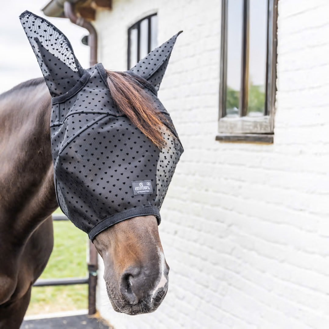 https://equitavisports.ca › products › masque-anti-mouche-coeur-avec-oreilles-et-nez-kentucky-horsewear