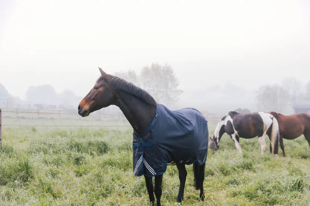 Couverture d'Extérieur Imperméable | Kentucky Horsewear