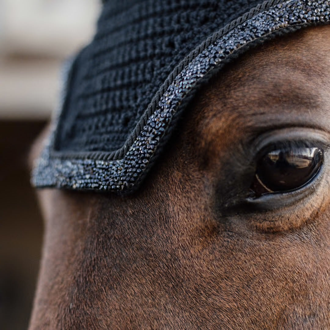 https://equitavisports.ca › products › bonnet-glitter-stone-kentucky-horsewear