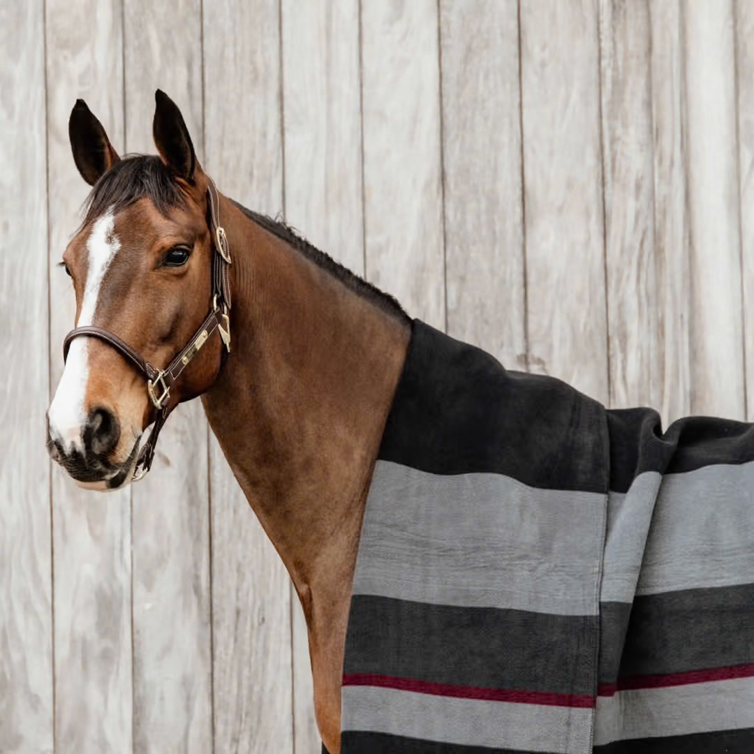 https://equitavisports.ca › products › couverture-en-polaire-epaisse-a-rayures-carrees-kentucky-horsewear