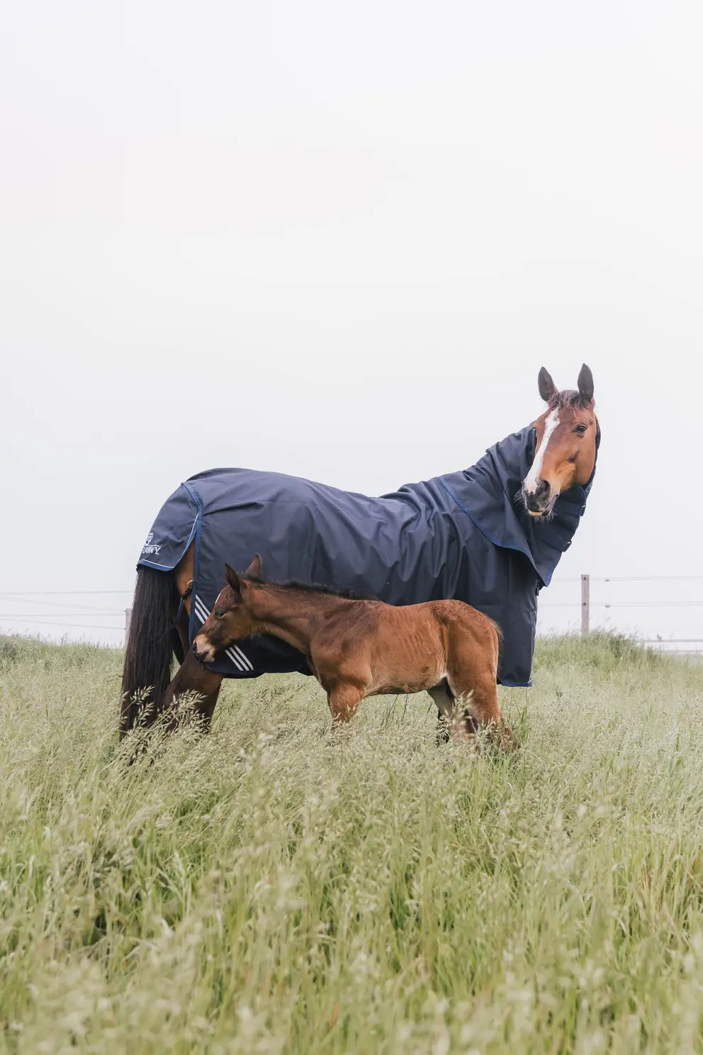 Couverture d'Extérieur Imperméable | Kentucky Horsewear