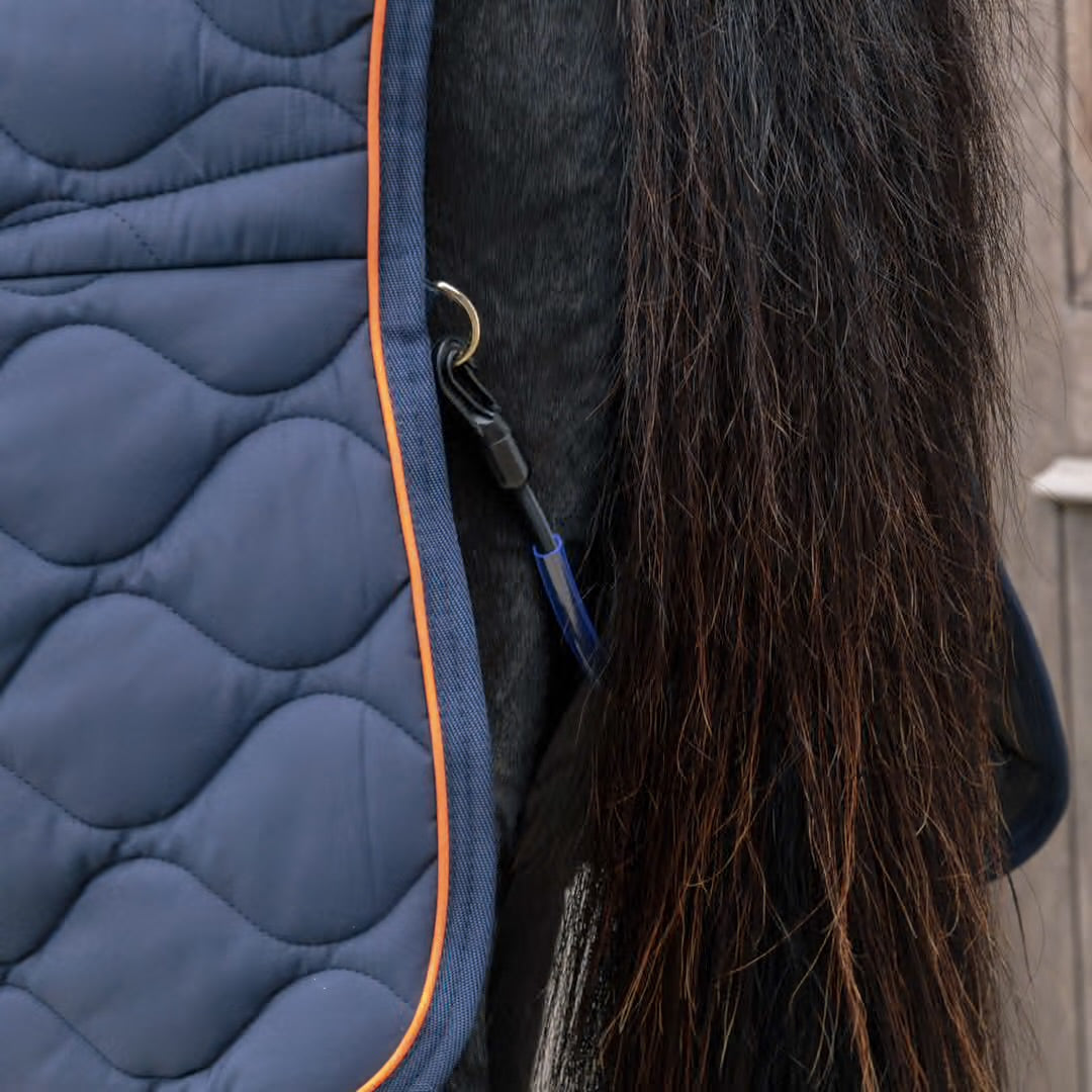 https://equitavisports.ca › products › couverture-decurie-wave-kentucky-horsewear
Couverture d'Ecurie Wave | Kentucky Horsewear