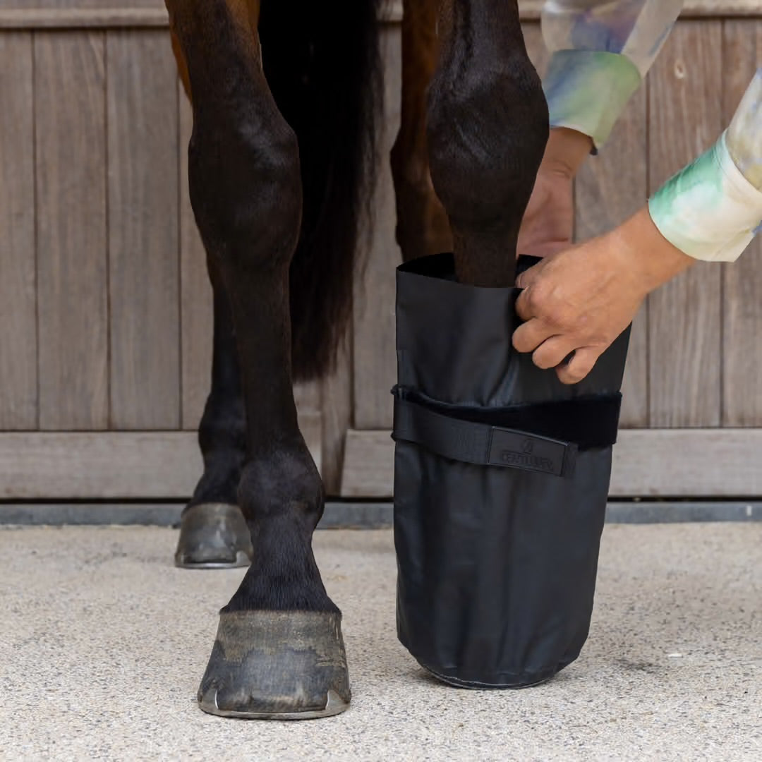 https://equitavisports.ca › products › bottes-de-soin-refroidissement-kentucky-horseware