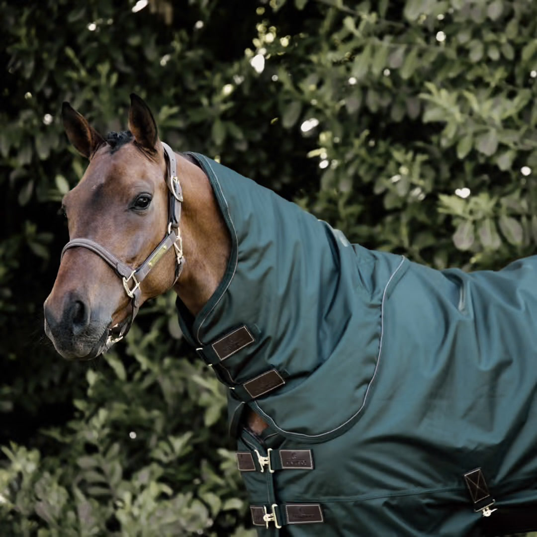 All Weather Waterproof Outdoor Blanket Pro | Kentucky Horsewear