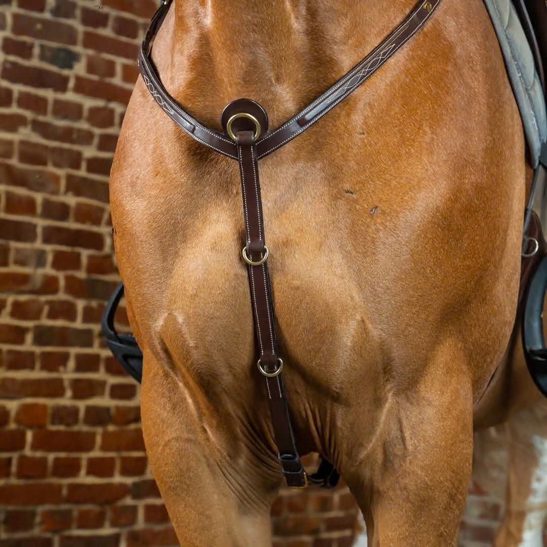 https://equitavisports.ca › products › collier-de-chasse-dy-on-collection
