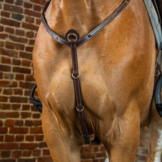 https://equitavisports.ca › products › collier-de-chasse-dy-on-collection