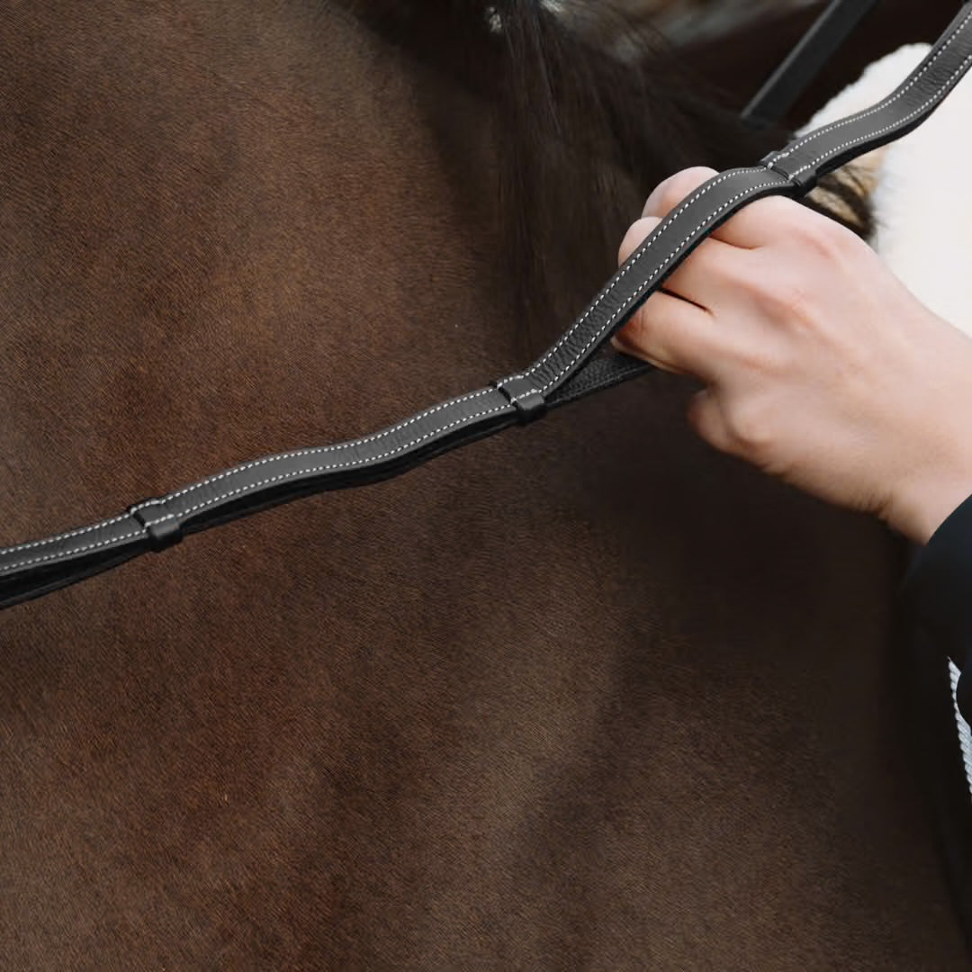 Leather Reins with Handles | DYON D COLLECTION