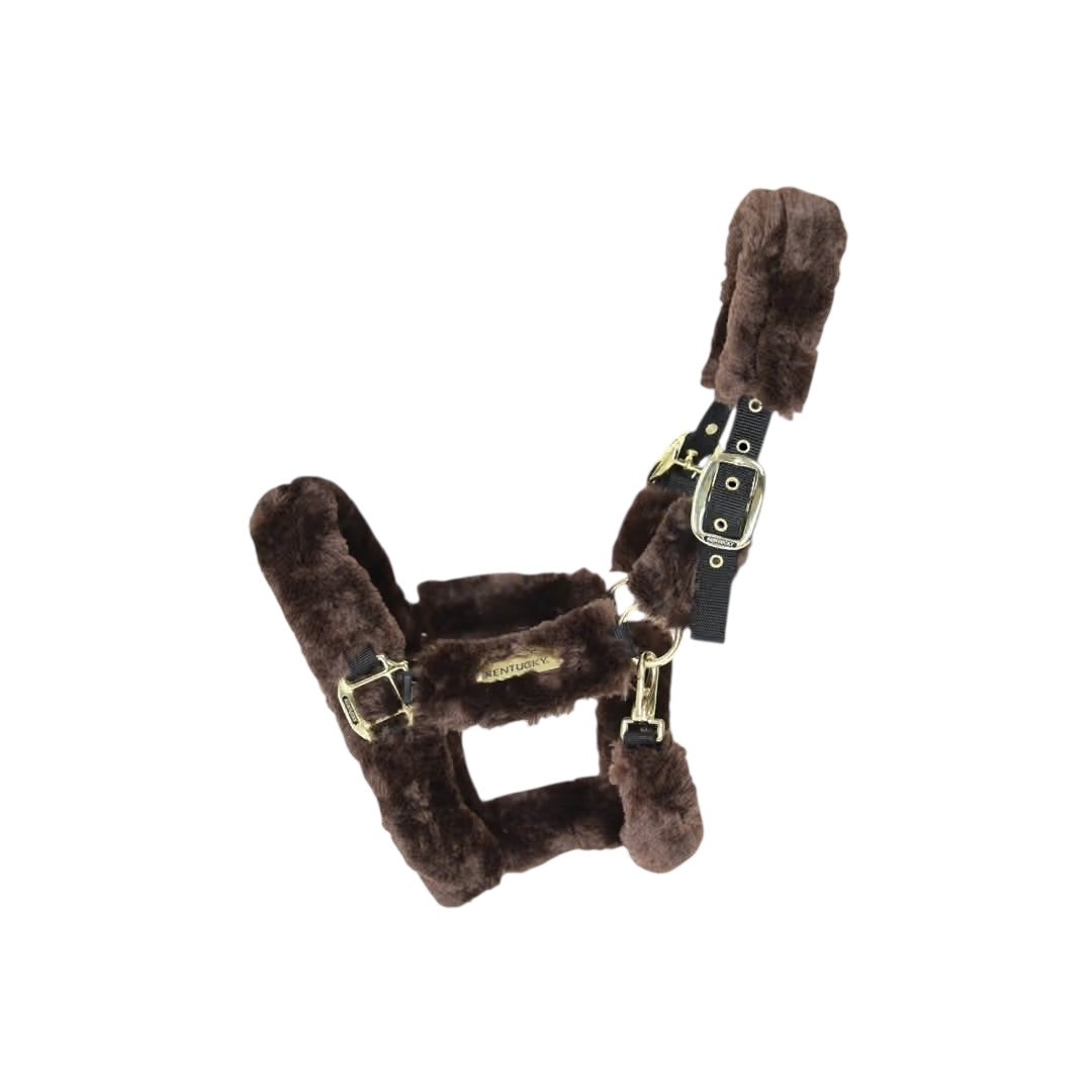 https://equitavisports.ca › products › licol-de-transport-mouton-kentucky-horsewear
