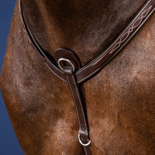 https://equitavisports.ca › products › collier-de-chasse-dy-on-us-collection