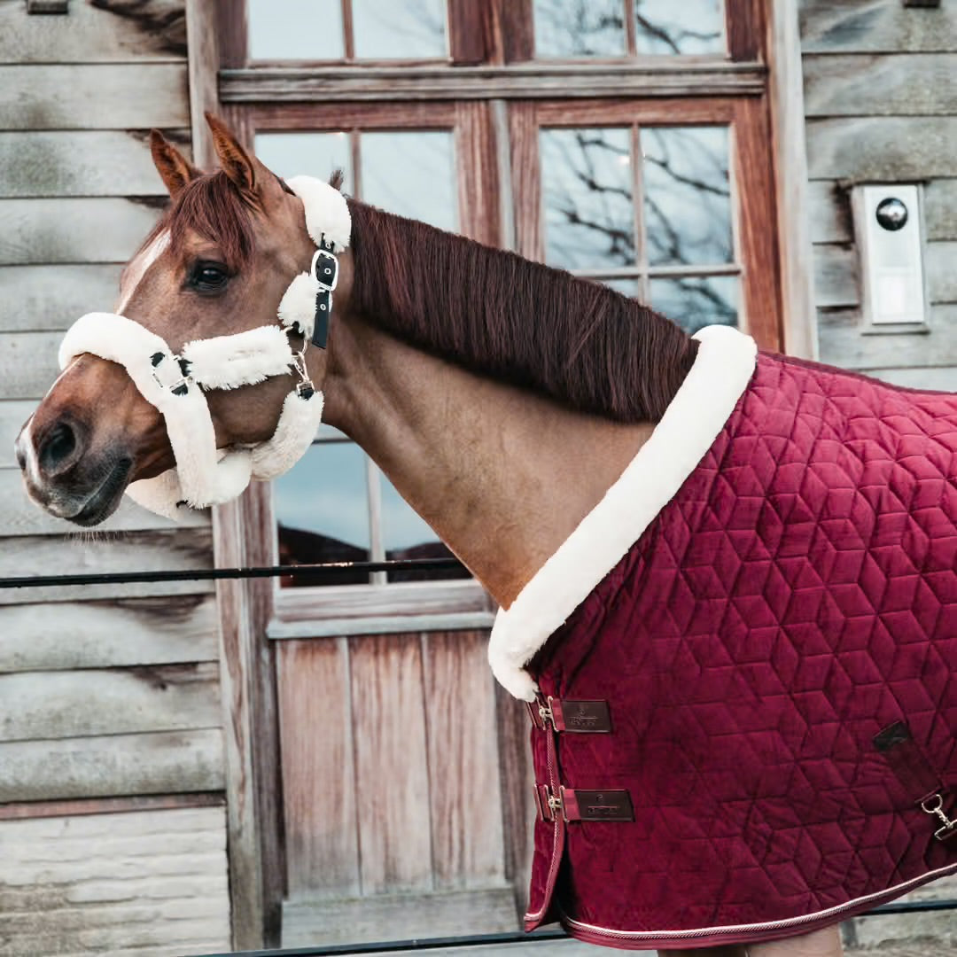 https://equitavisports.ca › products › couverture-de-presentation-velvet-kentucky-horsewear