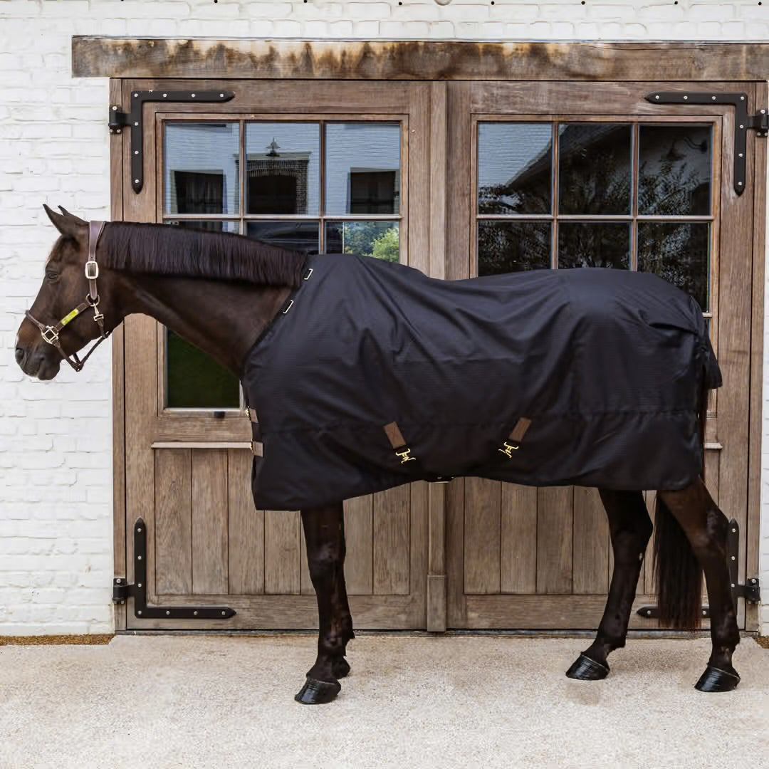 https://equitavisports.ca › products › couverture-dexterieur-all-weather-impermeable-classic-0g-50g-150g-300g-kentucky-horsewear