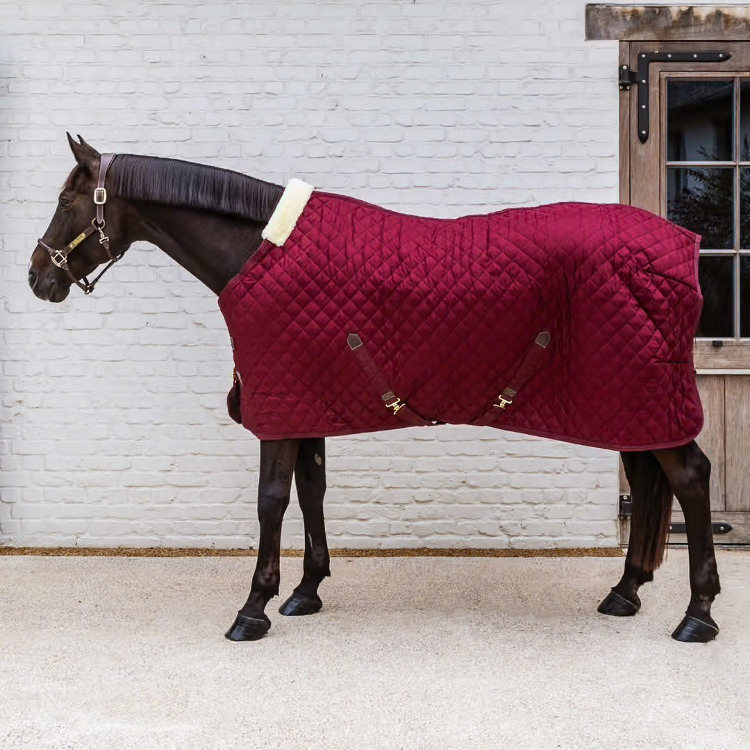 0g Stable Blanket | Kentucky Horsewear