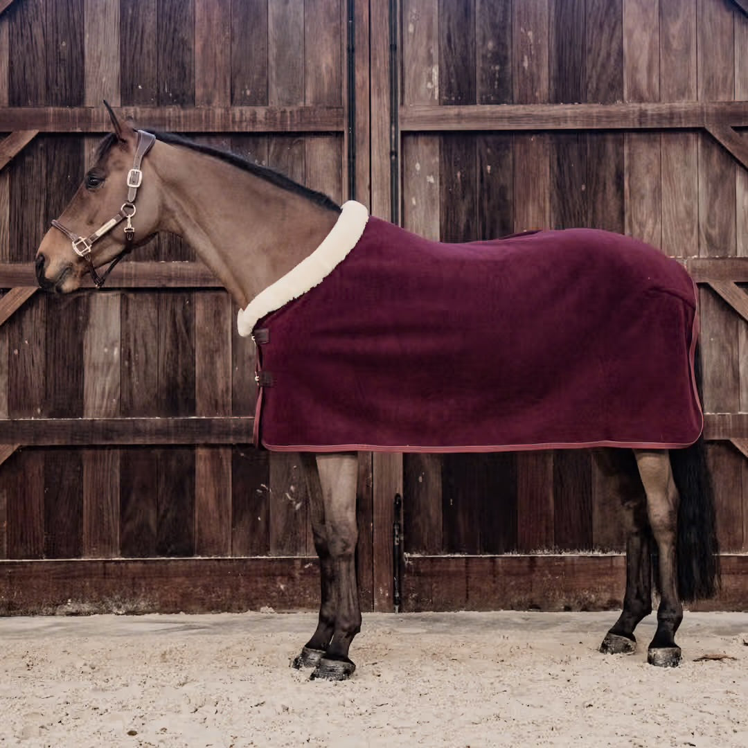 https://equitavisports.ca › products › cooler-show-fleece-heavy-kentucky-horsewear