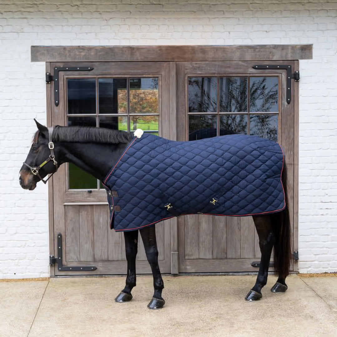 https://equitavisports.ca › products › couverture-decurie-wave-kentucky-horsewear
Couverture d'Ecurie Wave | Kentucky Horsewear