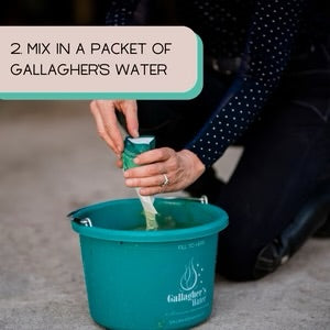 Electrolytes 12 sachets | Gallagher's Water