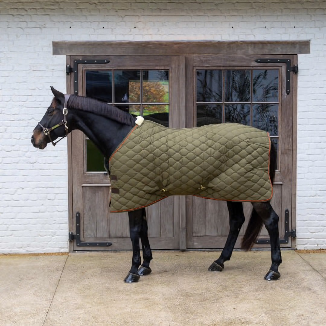 https://equitavisports.ca › products › couverture-decurie-wave-kentucky-horsewear
Couverture d'Ecurie Wave | Kentucky Horsewear