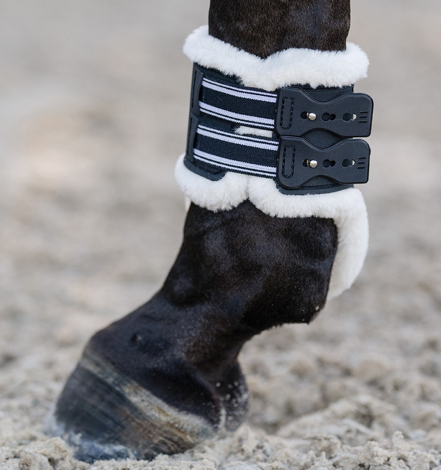 https://equitavisports.ca › products › essential®-air2™-hind-boot-equifit
