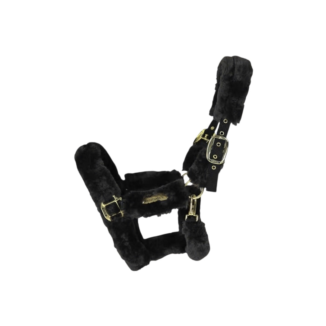 https://equitavisports.ca › products › licol-de-transport-mouton-kentucky-horsewear