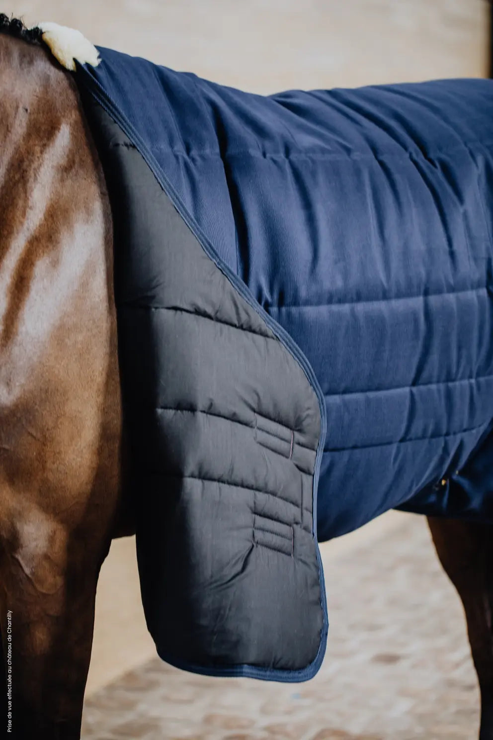 https://equitavisports.ca › products › couverture-decurie-classic-200-grammes-kentucky-horseware