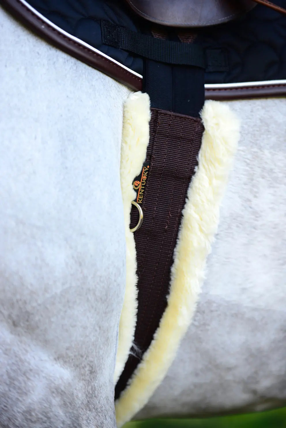 https://equitavisports.ca › products › sangle-en-mouton-kentucky-horsewear