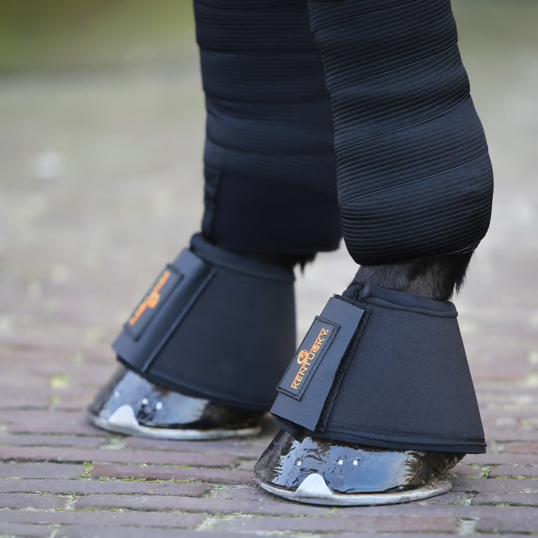 https://equitavisports.ca › products › cloches-solimbra-kentucky-horsewear