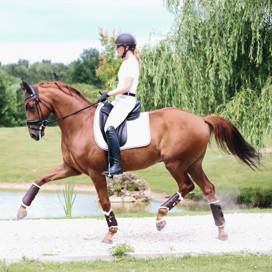 Guêtres pour turnout | Kentucky Horsewear