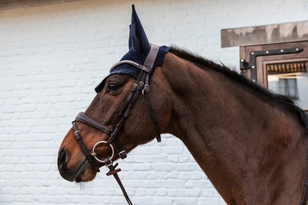 https://equitavisports.ca › products › bonnet-glitter-stone-kentucky-horsewear