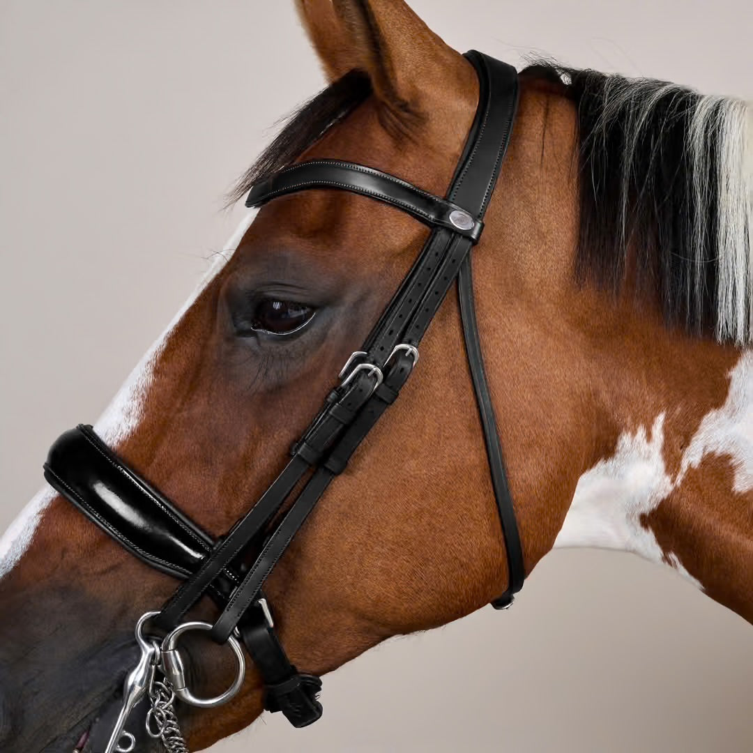 https://equitavisports.ca › products › bride-muserolle-large-vernie-kentucky-horsewear