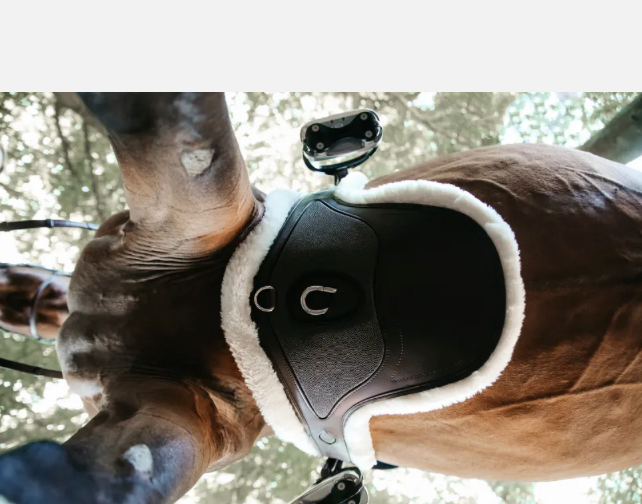 https://equitavisports.ca › products › sangle-bavette-mouton-special-kentucky