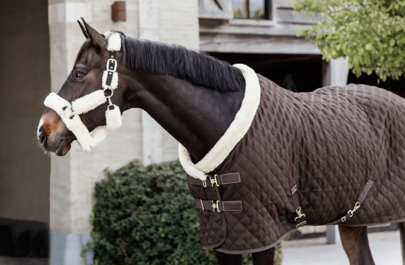 https://equitavisports.ca › products › couverture-de-presentation-kentucky-horseware