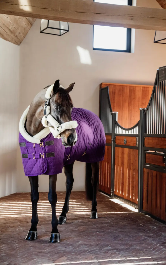 https://equitavisports.ca › products › couverture-de-presentation-kentucky-horseware