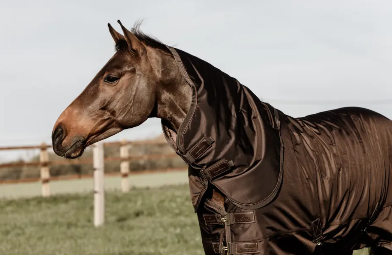 https://equitavisports.ca › products › couverture-dexterieur-all-weather-impermeable-pro-kentucky-horseware